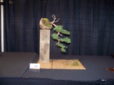 Annual Show 2011 - 18 2011